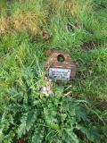 image of grave number 197728